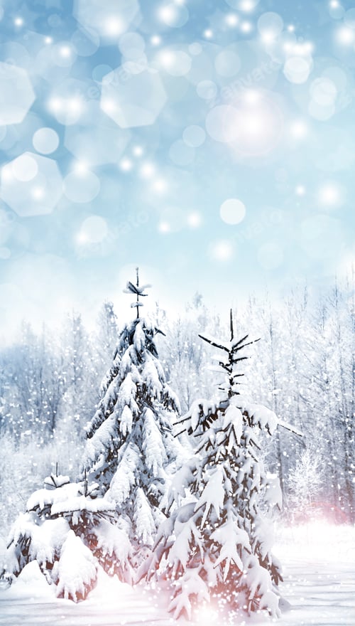 Preview: Winter Forest. Winter Landscape.
