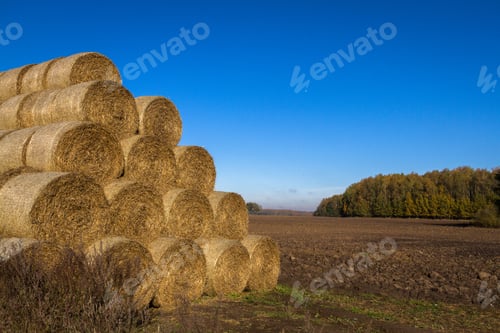 Preview: Hay Roll Stack On The Field