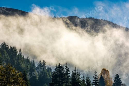 Preview: Cloud Rising Up From The Forest In Autumn Morning. Gorgeous Nature Weather Background
