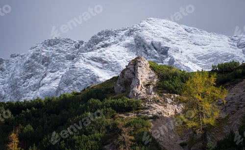 Preview: Golden Larches In The Mountains In Autumn