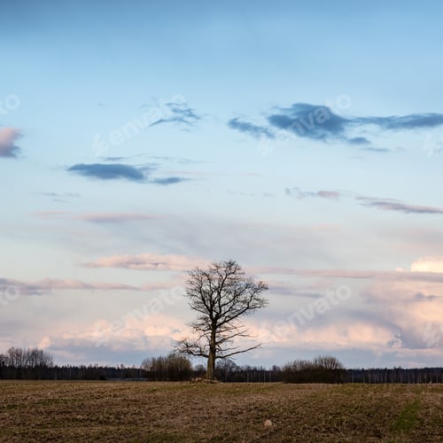 Preview: Bright Fresh Fields In Country Under Blue Sky With White Storm Clouds