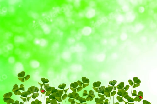 Preview: Green Clover Leaves On A Background Summer Landscape. St.Patrick 'S Day. Ladybug