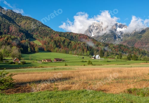Preview: Natural Park Of Zelenci In Slovenia