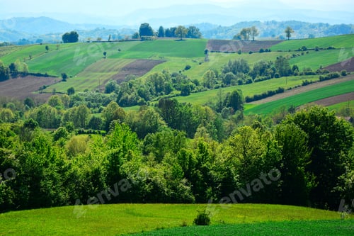 Preview: Green Grass Field On Small Hills.Field Agriculture
