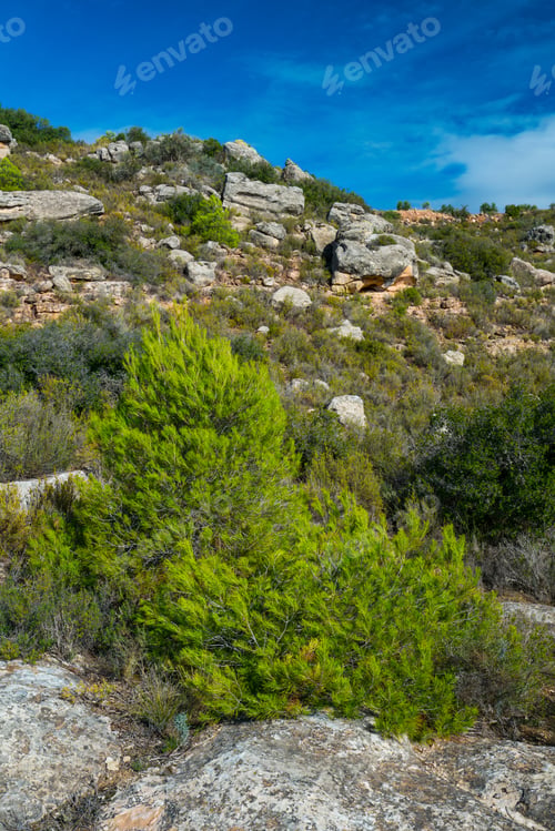 Preview: The Saladar Tombs In Set Valley, El Cogul Municipality Of Les Garrigues Region In Lleida Province