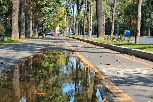 Preview: Bicycle Path In Bucharest, Romania. Cycling Infrastructure.