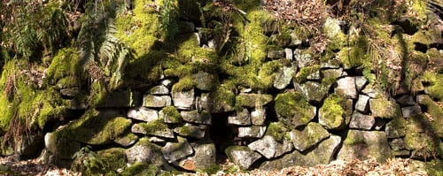 Preview: Old Abandoned Mossy Stone Wall