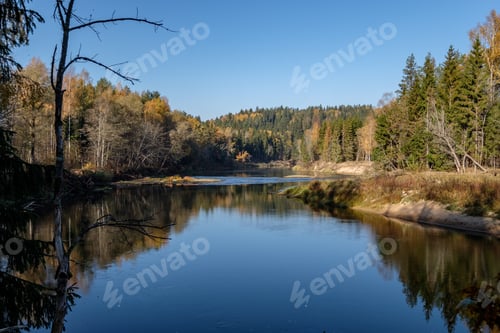 Preview: Forest River In Autumn Colored Country. River Gauja In Latvia Near City Of Cesis