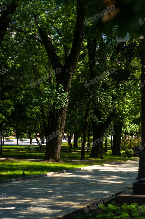 Preview: Spring City Park - Blooming Flower And Trees, Bright Green Grass, Sunlight