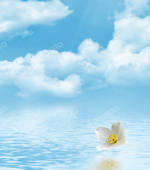 Preview: Branch Of Jasmine Flowers On A Background Of Blue Sky With Clouds