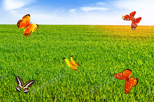 Preview: Meadow With Green Grass On A Background Of Blue Sky With Clouds