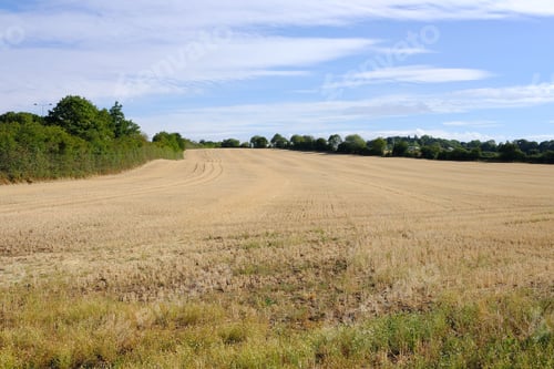 Preview: Dry Harvested Crop Field During The Uk Summer Heatwave 2018
