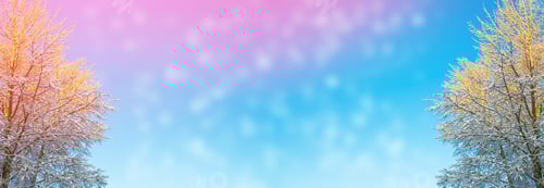 Preview: Frozen Winter Forest With Snow Covered Trees.