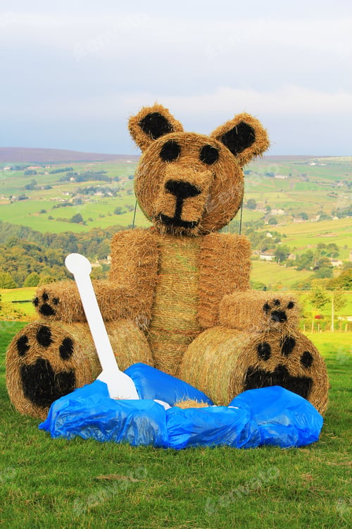 Preview: Teddy Bear. Norland Scarecrow Festival, 2Nd- 5Th September. Situated Throughout The Village. Held