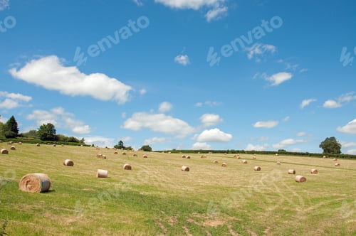 Preview: Straw Bales In A Summertime Field In The British Countryside.