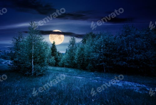 Preview: Path Through Forested Grassy Meadow At Night In Full Moon Light. Beautiful Summer Nature Scenery