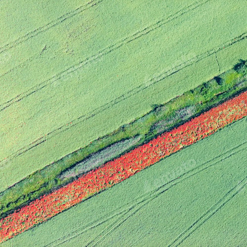 Preview: Aerial View Over The Ryral Fields