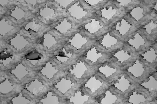 Preview: Black White Abstract Animal Photos.