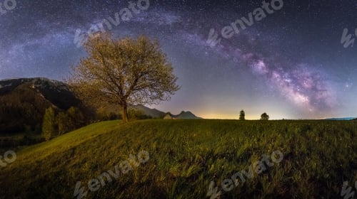 Preview: Milky Way And Trees