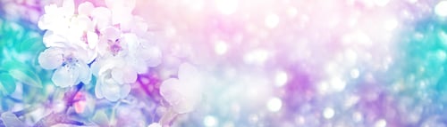 Preview: Blossoming Branch Apple. Bright Colorful Spring Flowers