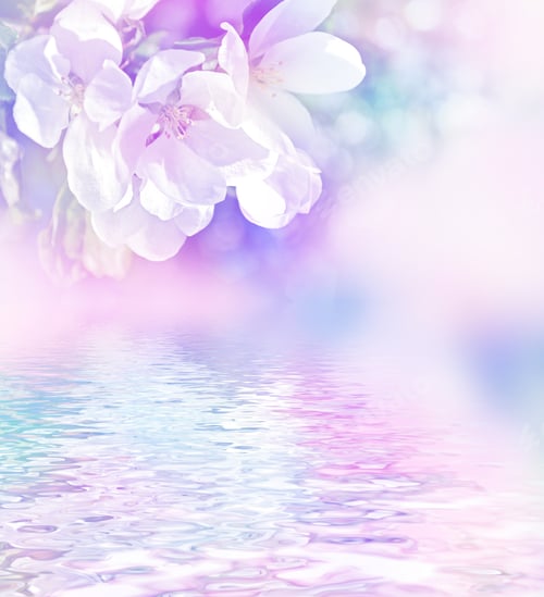 Preview: Spring Landscape. Flowering Apple Tree. Garden. Flower