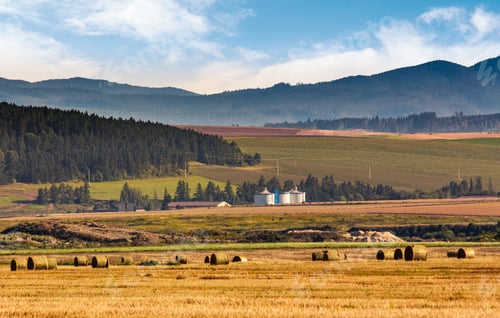 Preview: Agricultural Fields Of Slovakia. Beautiful Agrarian Countryside Landscape