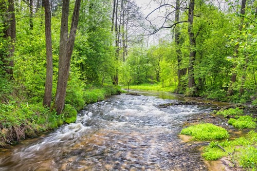 Preview: Szumy Na Tanwi (Cascades On Tanew River) Roztocze (Roztochia), Roztoczanski Park Narodowy (Roztocze