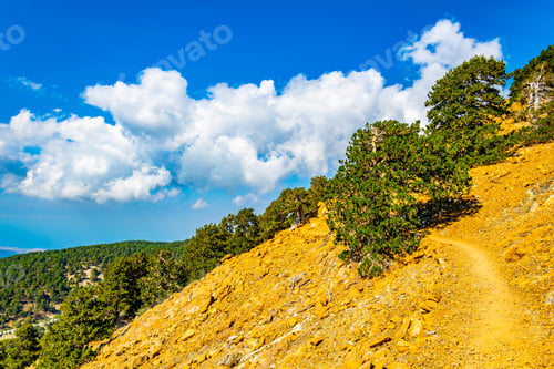 Preview: Hiking Track At Troodos Mountains On Cyprus
