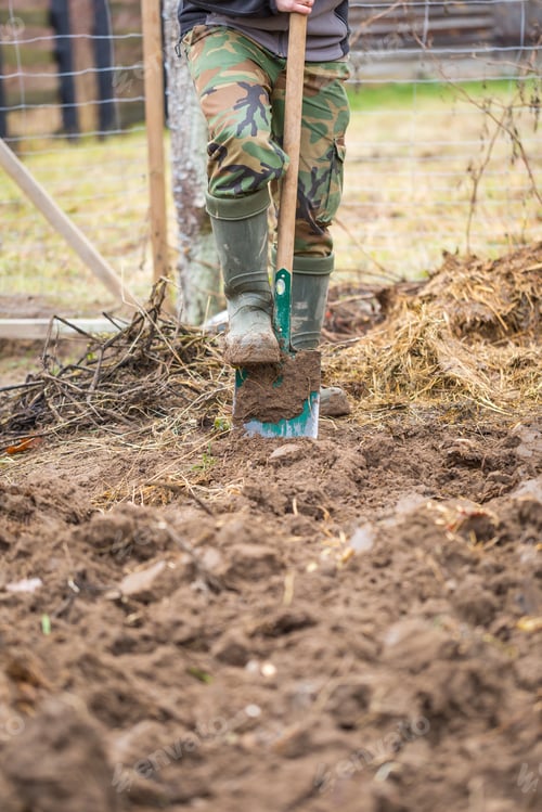 Preview: Man Digging With Spade In Autumn Or Spring Garden,