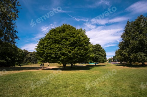 Preview: Deserted Parkland During The Uk Summer Heatwave 2018