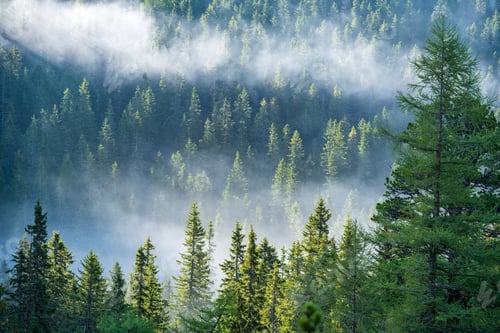 Preview: Mist Rising From Valleys In Forest In Slovakia Tatra Mountains. Sunny Day Seen From Above, Walking