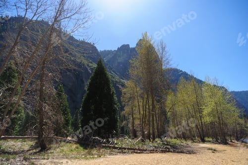 Preview: Trees And Rock Formations Lining The Floor Of Yosemite Valley. Yosemite National Park, Ca.