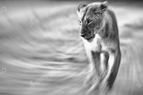 Preview: Vintage Style Image Of An African Lioness In The Maasai Mara National Park, Kenya