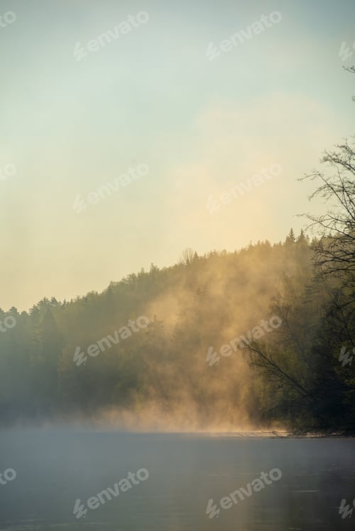 Preview: Beautiful Misty Morning On The Natural Forest River Gauja In Latvia. Fog Floating Over Calm Water