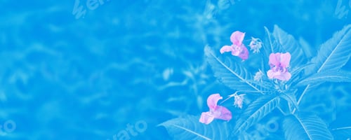 Preview: Colorful Bright Snapdragon Flowers On A Background Of Summer Landscape.