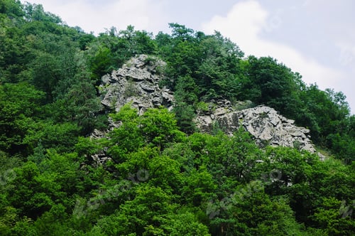 Preview: Forest Landscape, Armenia