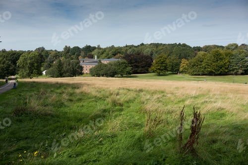Preview: Open Grassland On A University Campus