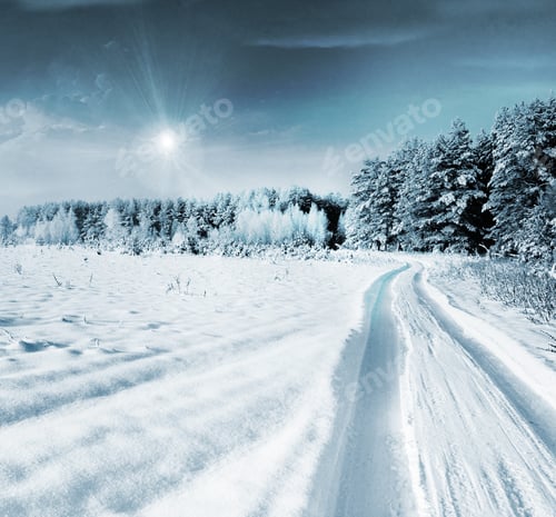 Preview: Photos Of The Winter Woods. Winter Landscape.