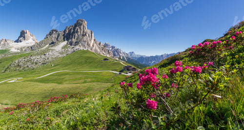 Preview: Flowers And Mountains At Pass Giau In The Dolomites