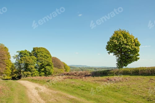 Preview: Hergest Ridge, United Kingdom In The Summertime.