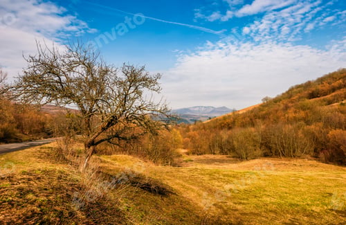 Preview: Trees By The Countryside Road In Rural Area. Serene Springtime Day In Mountains
