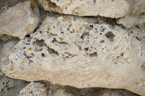 Preview: Pobiti Kamani (The Stone Desert), A Desert-Like Rock Phenomenon Located On The North West Varna