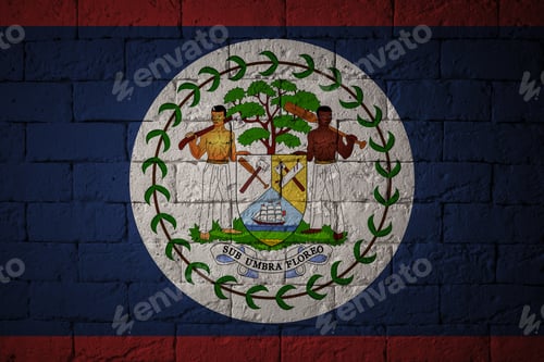 Preview: Flag With Original Proportions. Closeup Of Grunge Flag Of Belize.