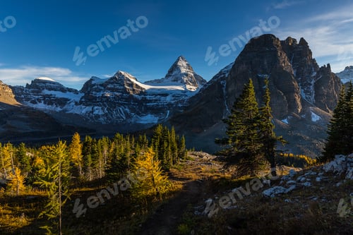 Preview: Path To Mount Assiniboine At Sunset In Larch Season