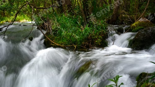 Preview: Full-Flowing River In A Sunny Forest. Stream Flowing Over Mossy Rocks In Green Wood
