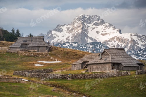 Preview: Spring Crocus At Velika Planina In Slovenia With Old Shepherd Cottages All Around.