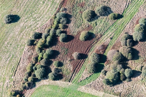 Preview: Aerial View Over The Bushes And Trees In Autumn