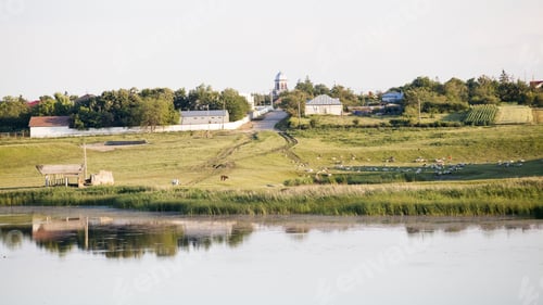 Preview: Landscape With Waterline Reeds And Vegetation. There Is A Village In The Background