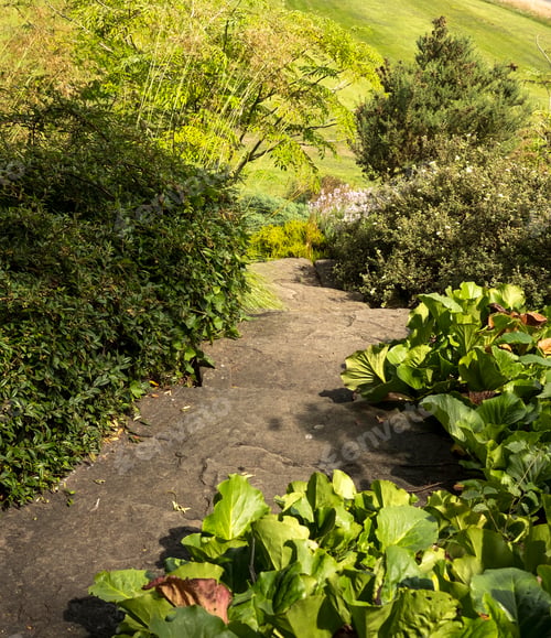 Preview: Summer Stone Garden Path Image
