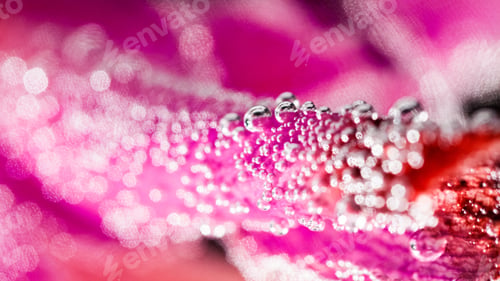 Preview: Abstract Underwater Composition With Blurry Orchid Petals, Bubbles And Light